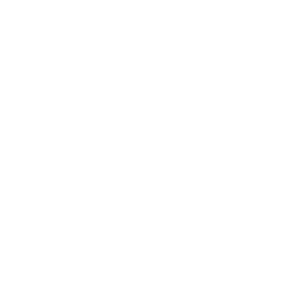 Serge Spruydt